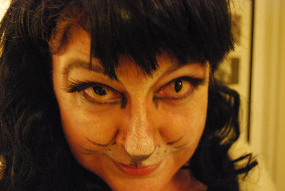 Halloween costume cat