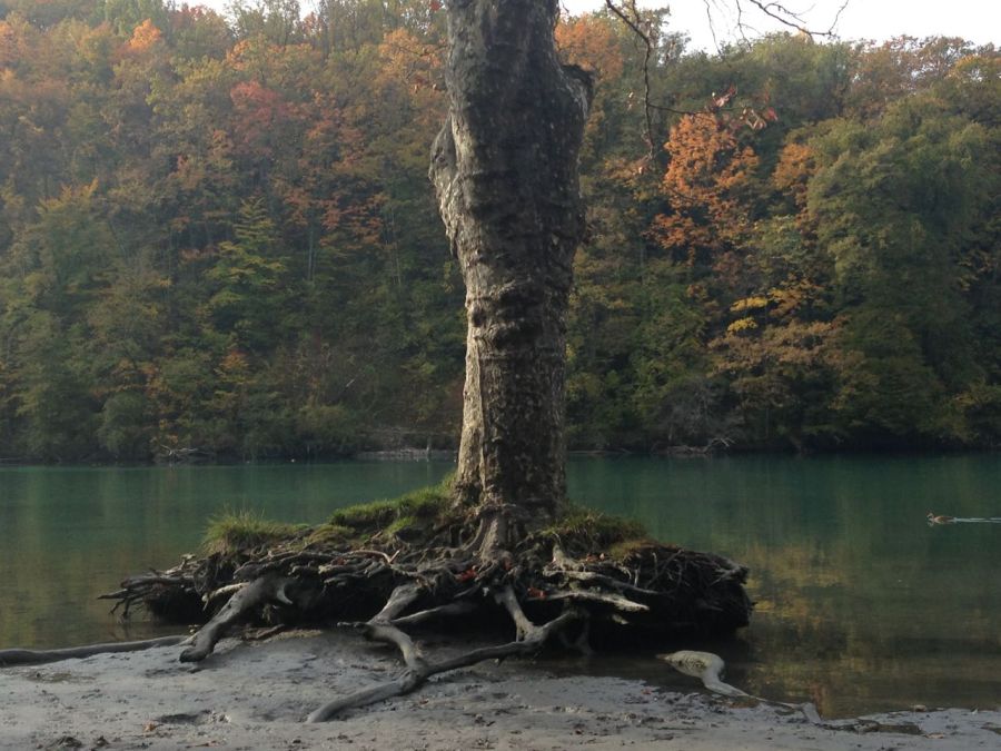  Creature from the deep