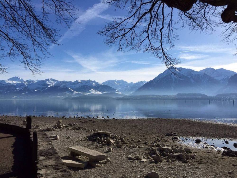 12628580_961573010597207_7662103058338166157_o