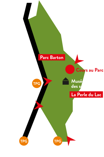 Cours-au-parc-Parc-de-La-Perle-du-Lac